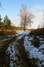 Дорога у села Плотбище